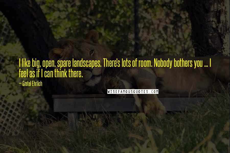 Gretel Ehrlich Quotes: I like big, open, spare landscapes. There's lots of room. Nobody bothers you ... I feel as if I can think there.