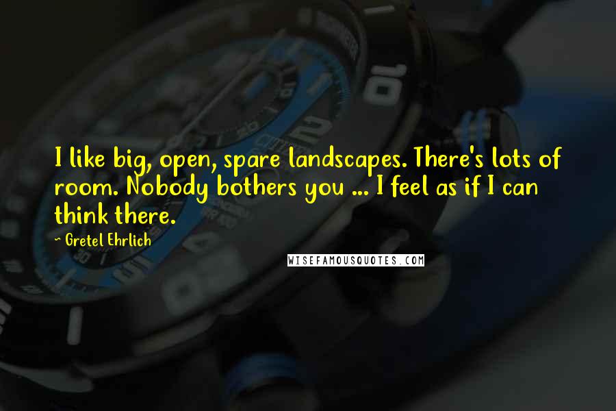 Gretel Ehrlich Quotes: I like big, open, spare landscapes. There's lots of room. Nobody bothers you ... I feel as if I can think there.