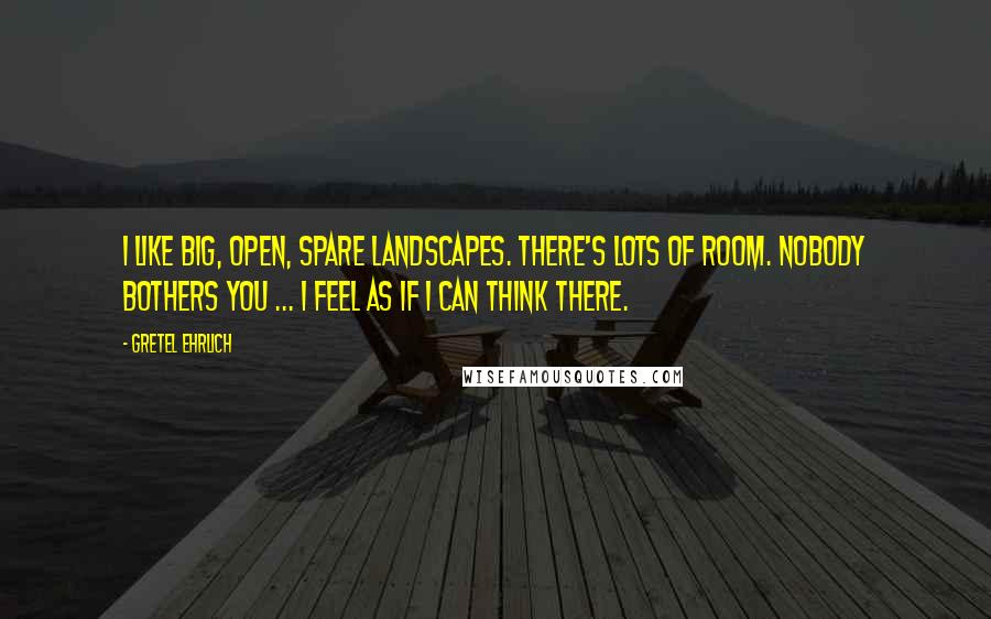 Gretel Ehrlich Quotes: I like big, open, spare landscapes. There's lots of room. Nobody bothers you ... I feel as if I can think there.