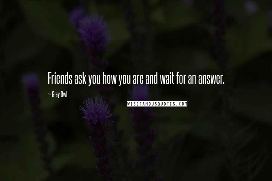 Grey Owl Quotes: Friends ask you how you are and wait for an answer.