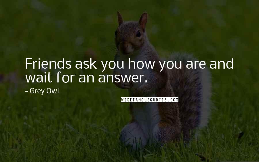 Grey Owl Quotes: Friends ask you how you are and wait for an answer.