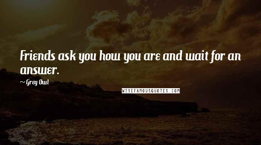 Grey Owl Quotes: Friends ask you how you are and wait for an answer.