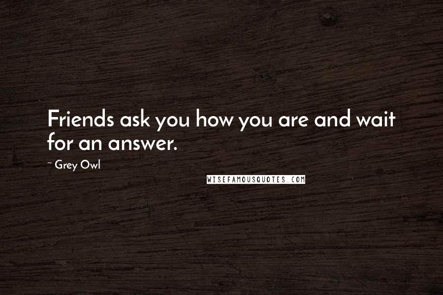 Grey Owl Quotes: Friends ask you how you are and wait for an answer.