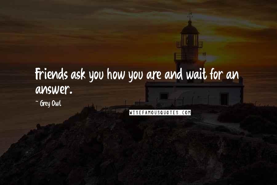 Grey Owl Quotes: Friends ask you how you are and wait for an answer.