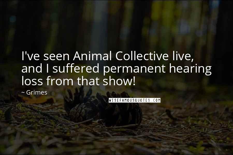 Grimes Quotes: I've seen Animal Collective live, and I suffered permanent hearing loss from that show!