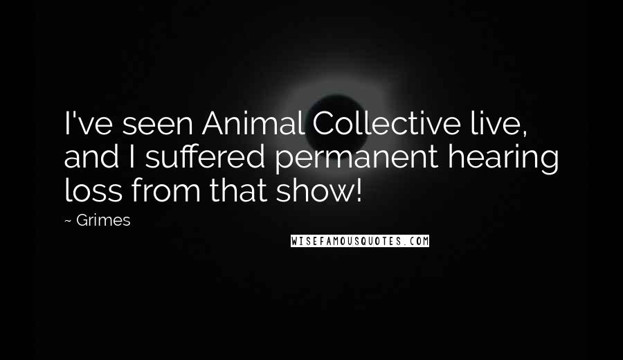 Grimes Quotes: I've seen Animal Collective live, and I suffered permanent hearing loss from that show!