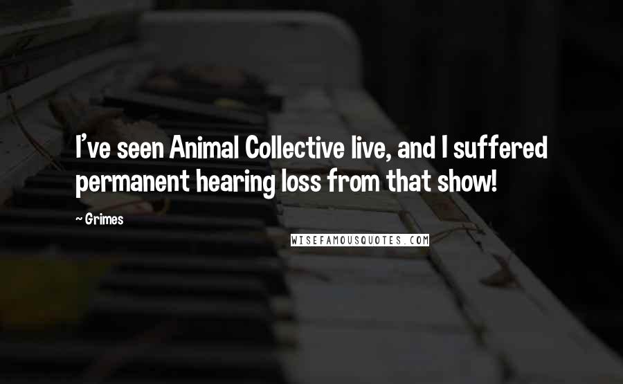 Grimes Quotes: I've seen Animal Collective live, and I suffered permanent hearing loss from that show!