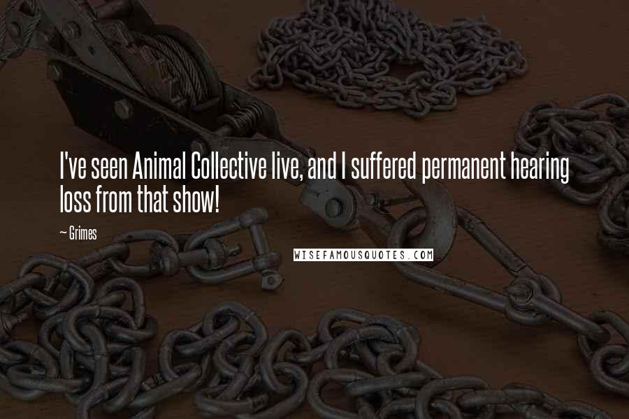 Grimes Quotes: I've seen Animal Collective live, and I suffered permanent hearing loss from that show!