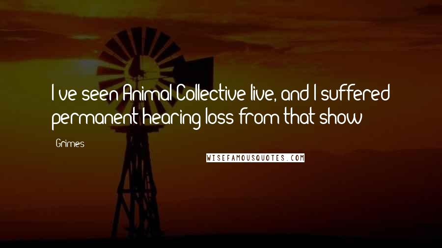 Grimes Quotes: I've seen Animal Collective live, and I suffered permanent hearing loss from that show!