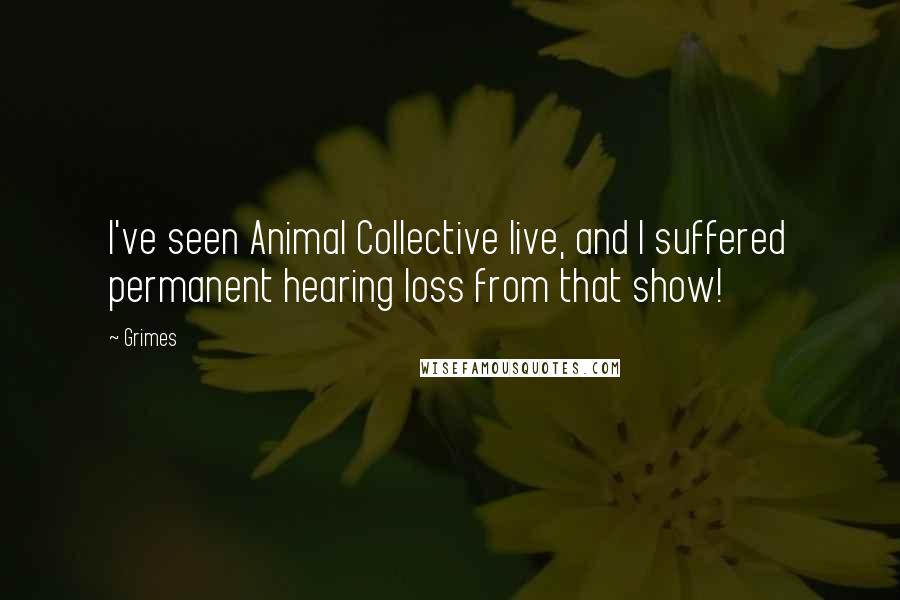 Grimes Quotes: I've seen Animal Collective live, and I suffered permanent hearing loss from that show!