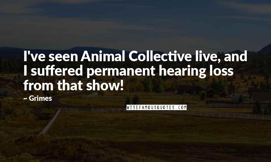 Grimes Quotes: I've seen Animal Collective live, and I suffered permanent hearing loss from that show!