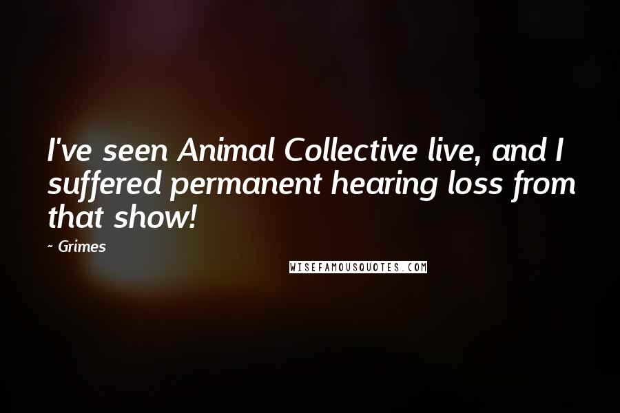 Grimes Quotes: I've seen Animal Collective live, and I suffered permanent hearing loss from that show!