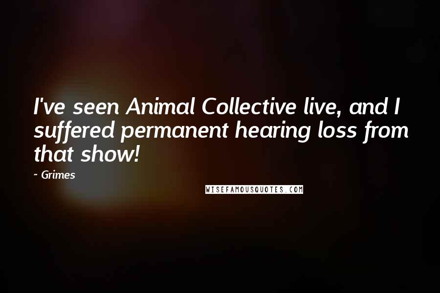 Grimes Quotes: I've seen Animal Collective live, and I suffered permanent hearing loss from that show!