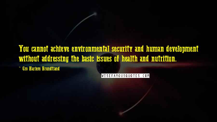 Gro Harlem Brundtland Quotes: You cannot achieve environmental security and human development without addressing the basic issues of health and nutrition.