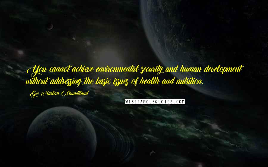 Gro Harlem Brundtland Quotes: You cannot achieve environmental security and human development without addressing the basic issues of health and nutrition.