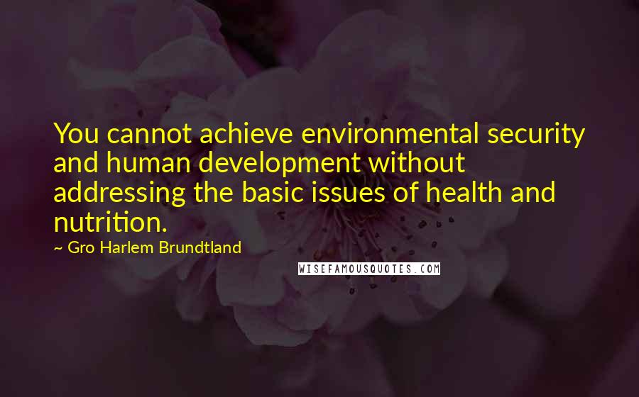 Gro Harlem Brundtland Quotes: You cannot achieve environmental security and human development without addressing the basic issues of health and nutrition.