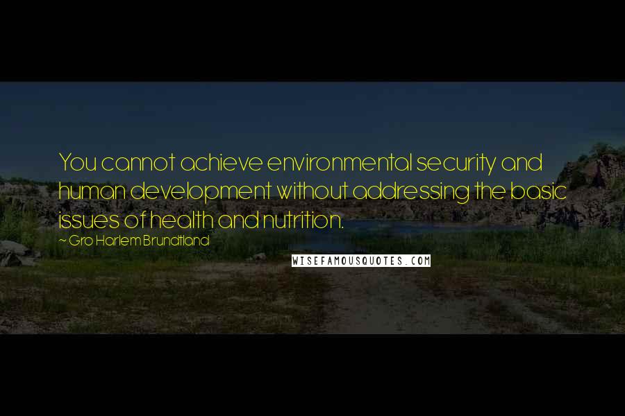 Gro Harlem Brundtland Quotes: You cannot achieve environmental security and human development without addressing the basic issues of health and nutrition.