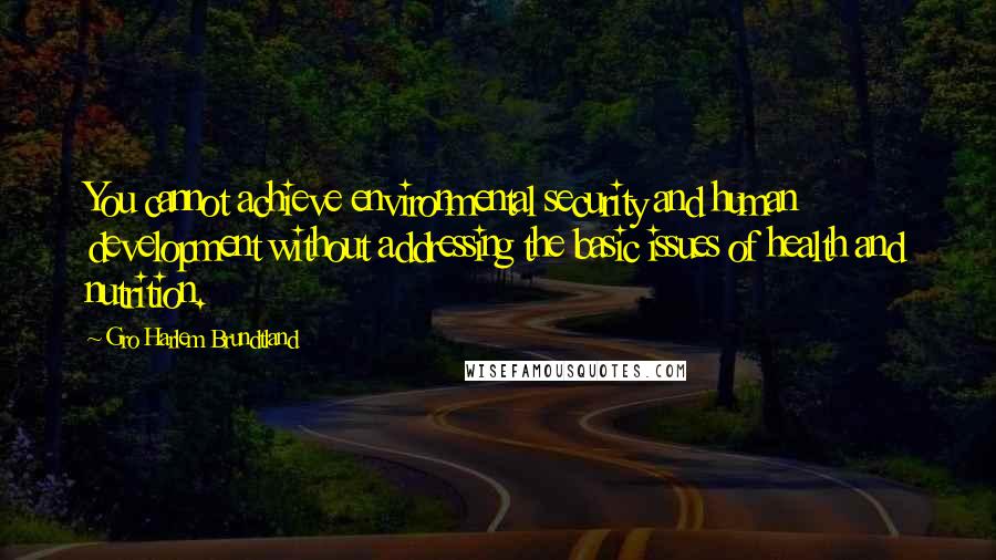 Gro Harlem Brundtland Quotes: You cannot achieve environmental security and human development without addressing the basic issues of health and nutrition.