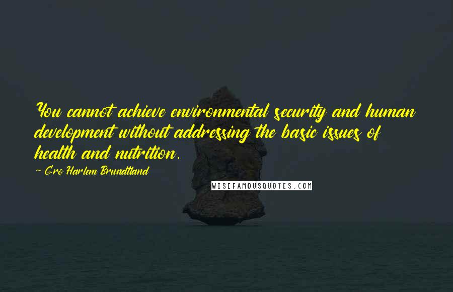 Gro Harlem Brundtland Quotes: You cannot achieve environmental security and human development without addressing the basic issues of health and nutrition.