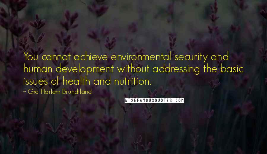 Gro Harlem Brundtland Quotes: You cannot achieve environmental security and human development without addressing the basic issues of health and nutrition.
