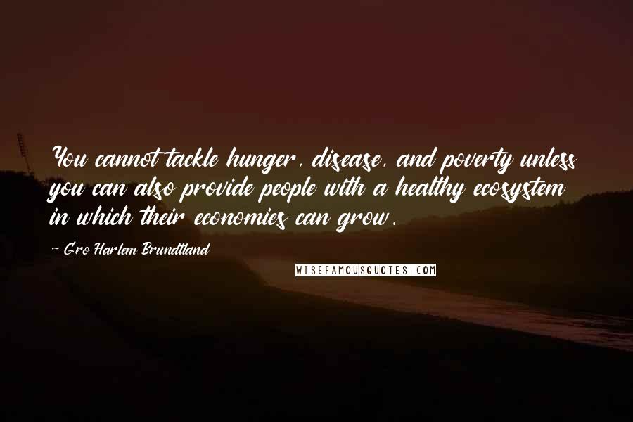 Gro Harlem Brundtland Quotes: You cannot tackle hunger, disease, and poverty unless you can also provide people with a healthy ecosystem in which their economies can grow.