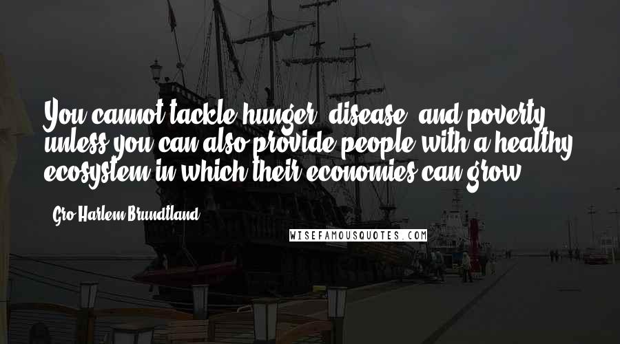 Gro Harlem Brundtland Quotes: You cannot tackle hunger, disease, and poverty unless you can also provide people with a healthy ecosystem in which their economies can grow.