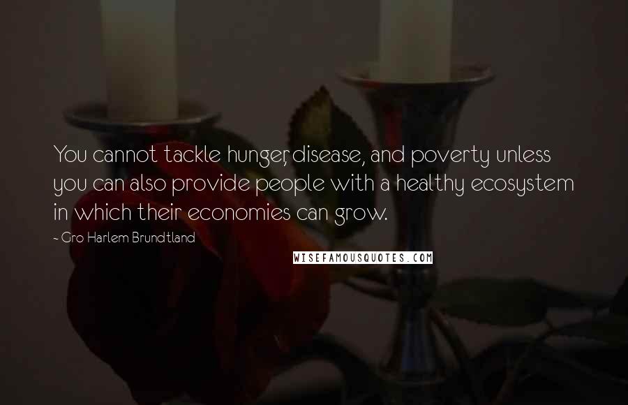 Gro Harlem Brundtland Quotes: You cannot tackle hunger, disease, and poverty unless you can also provide people with a healthy ecosystem in which their economies can grow.