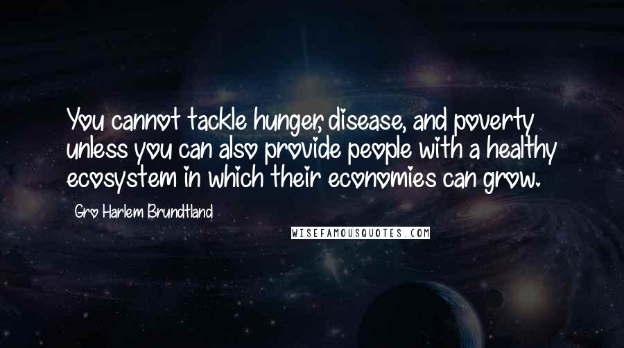 Gro Harlem Brundtland Quotes: You cannot tackle hunger, disease, and poverty unless you can also provide people with a healthy ecosystem in which their economies can grow.