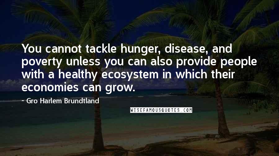 Gro Harlem Brundtland Quotes: You cannot tackle hunger, disease, and poverty unless you can also provide people with a healthy ecosystem in which their economies can grow.