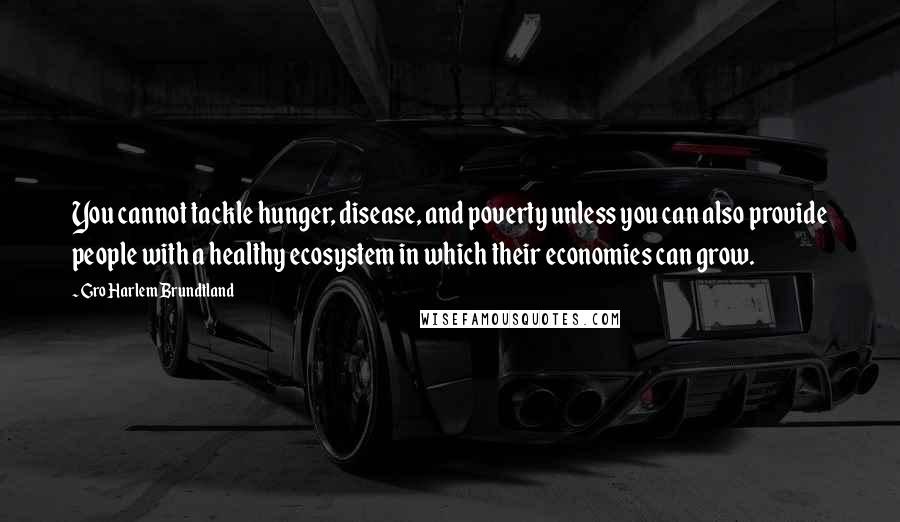 Gro Harlem Brundtland Quotes: You cannot tackle hunger, disease, and poverty unless you can also provide people with a healthy ecosystem in which their economies can grow.