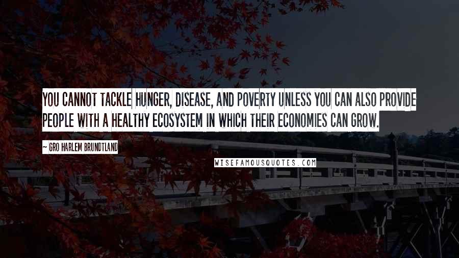 Gro Harlem Brundtland Quotes: You cannot tackle hunger, disease, and poverty unless you can also provide people with a healthy ecosystem in which their economies can grow.