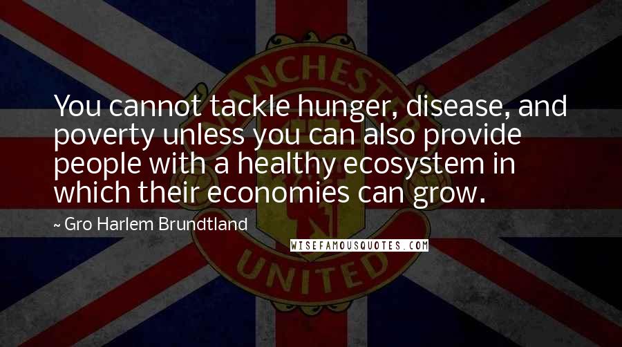 Gro Harlem Brundtland Quotes: You cannot tackle hunger, disease, and poverty unless you can also provide people with a healthy ecosystem in which their economies can grow.