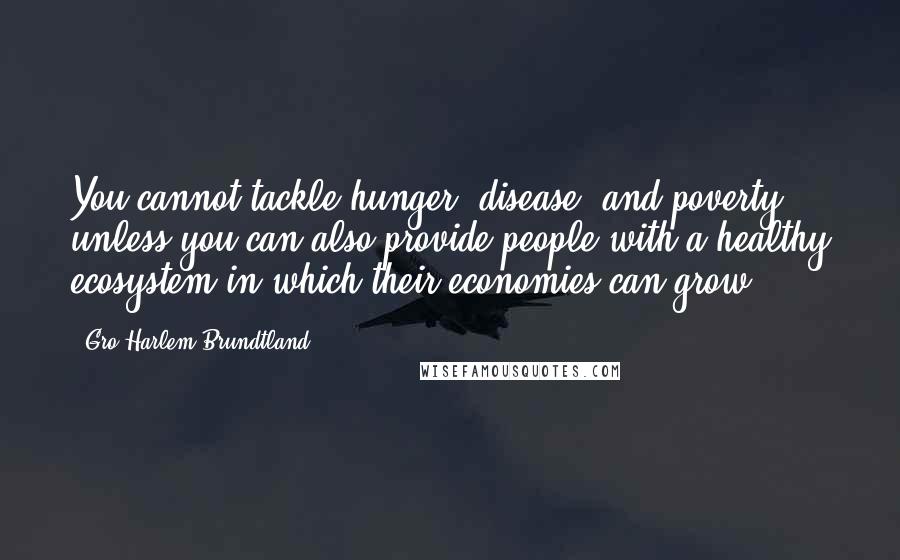 Gro Harlem Brundtland Quotes: You cannot tackle hunger, disease, and poverty unless you can also provide people with a healthy ecosystem in which their economies can grow.