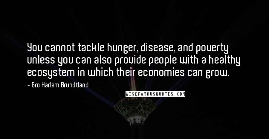 Gro Harlem Brundtland Quotes: You cannot tackle hunger, disease, and poverty unless you can also provide people with a healthy ecosystem in which their economies can grow.