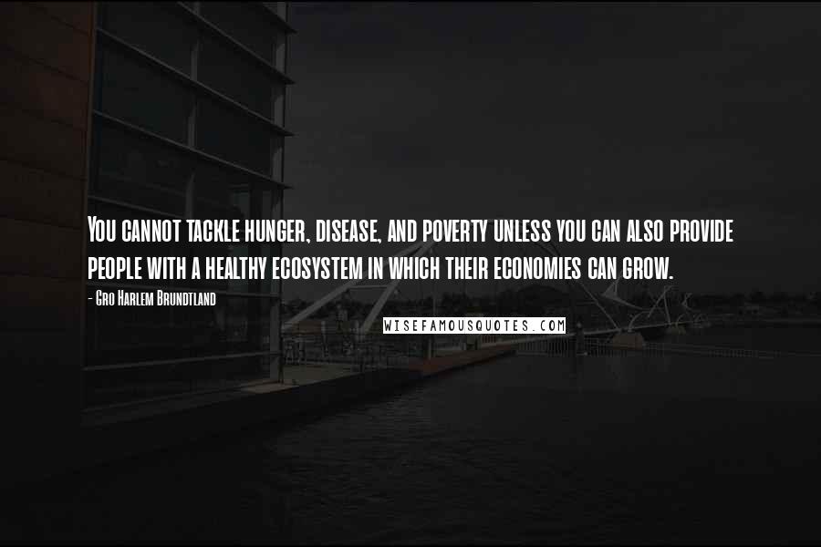 Gro Harlem Brundtland Quotes: You cannot tackle hunger, disease, and poverty unless you can also provide people with a healthy ecosystem in which their economies can grow.