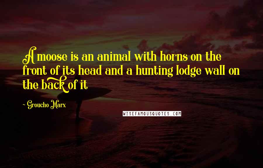 Groucho Marx Quotes: A moose is an animal with horns on the front of its head and a hunting lodge wall on the back of it