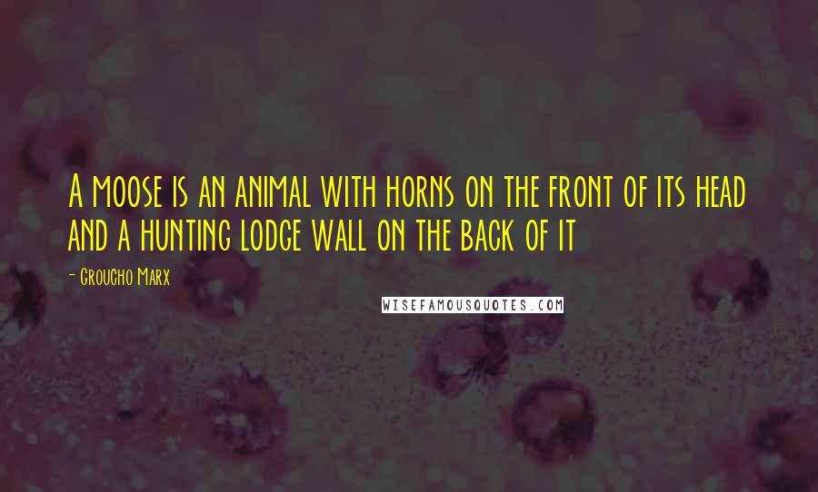 Groucho Marx Quotes: A moose is an animal with horns on the front of its head and a hunting lodge wall on the back of it