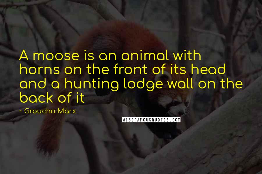 Groucho Marx Quotes: A moose is an animal with horns on the front of its head and a hunting lodge wall on the back of it