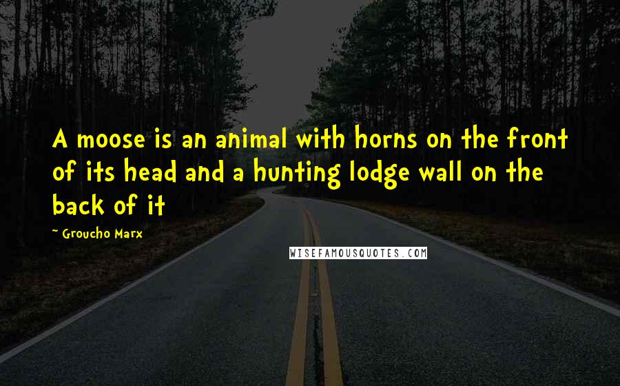 Groucho Marx Quotes: A moose is an animal with horns on the front of its head and a hunting lodge wall on the back of it