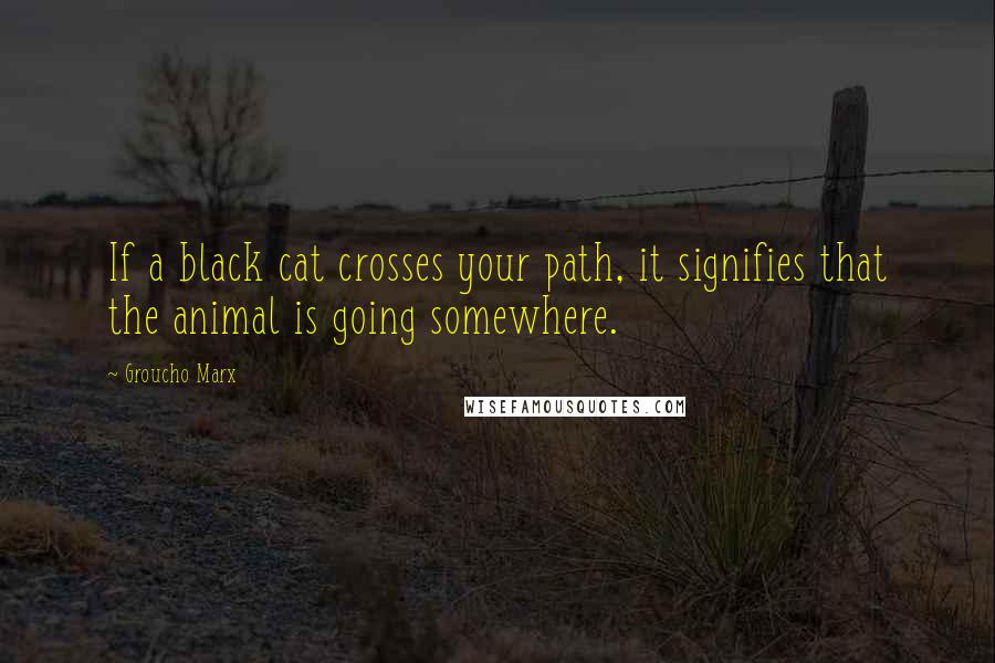 Groucho Marx Quotes: If a black cat crosses your path, it signifies that the animal is going somewhere.