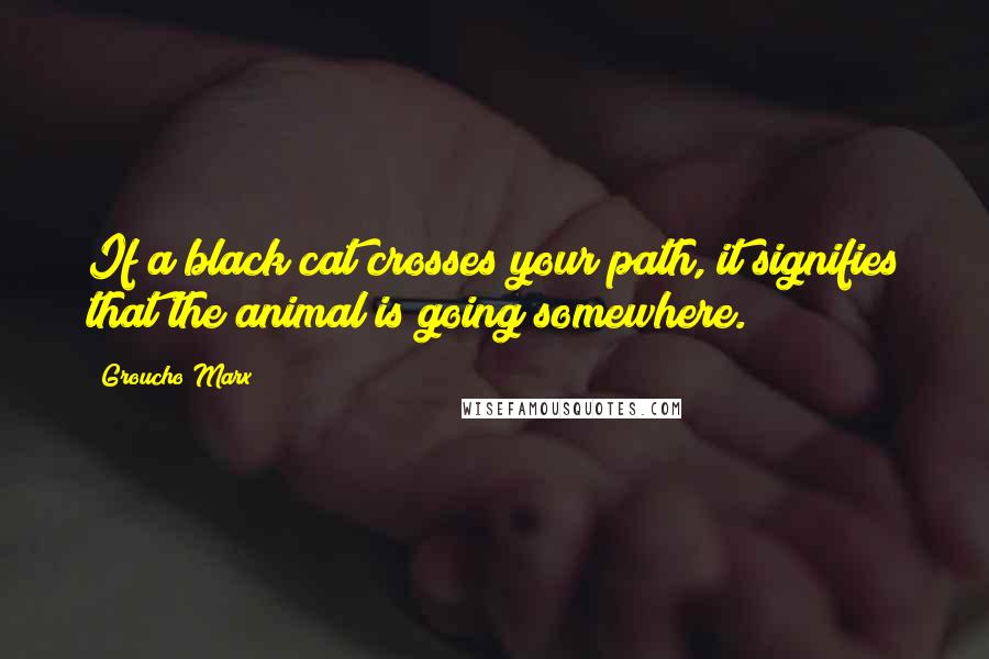 Groucho Marx Quotes: If a black cat crosses your path, it signifies that the animal is going somewhere.