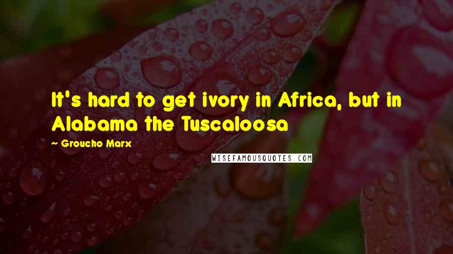 Groucho Marx Quotes: It's hard to get ivory in Africa, but in Alabama the Tuscaloosa