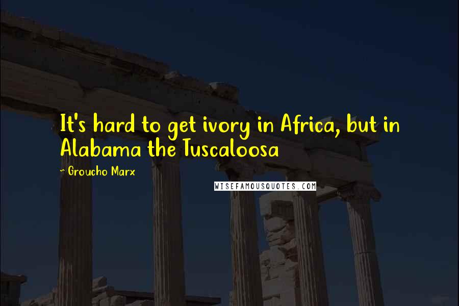 Groucho Marx Quotes: It's hard to get ivory in Africa, but in Alabama the Tuscaloosa