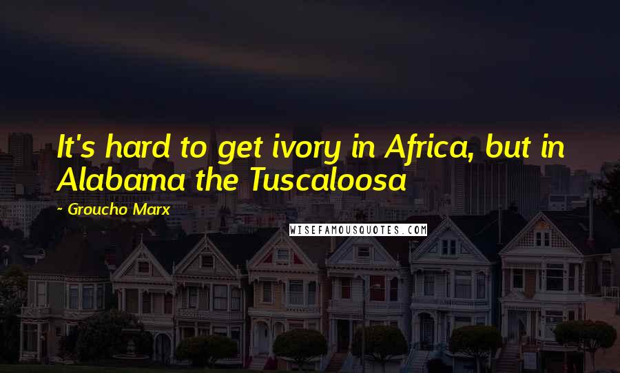 Groucho Marx Quotes: It's hard to get ivory in Africa, but in Alabama the Tuscaloosa