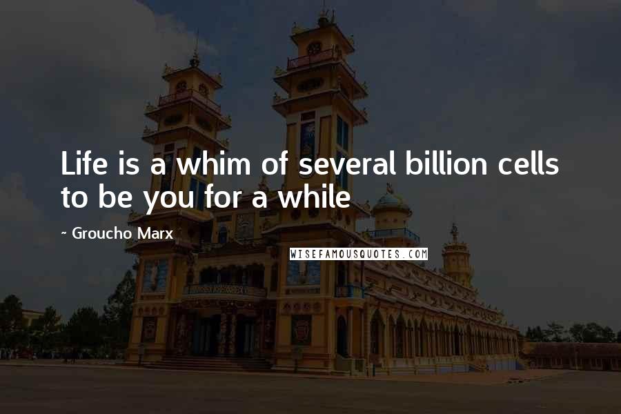 Groucho Marx Quotes: Life is a whim of several billion cells to be you for a while