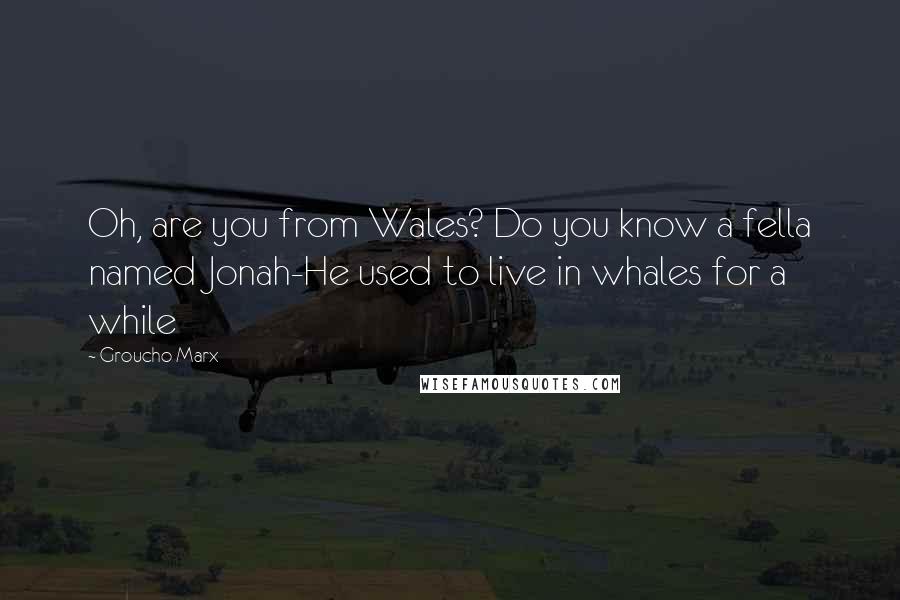 Groucho Marx Quotes: Oh, are you from Wales? Do you know a fella named Jonah-He used to live in whales for a while