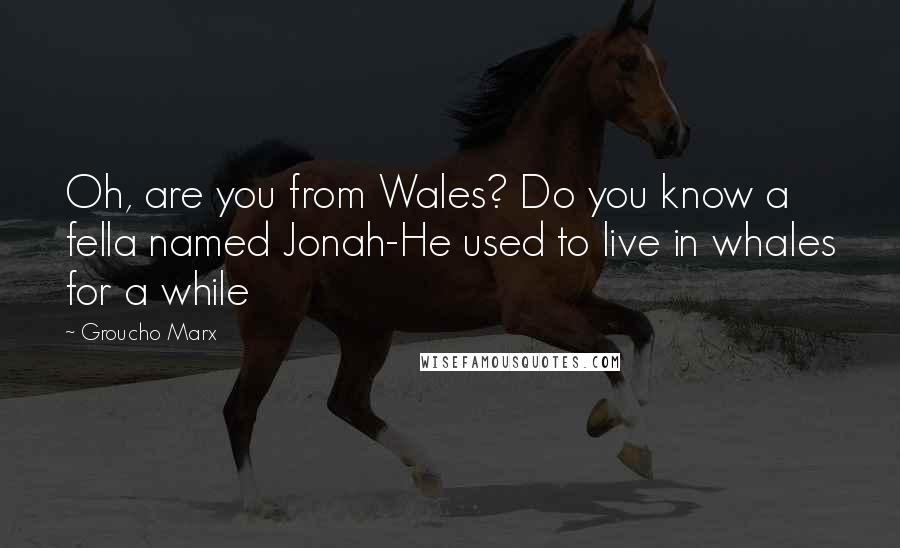 Groucho Marx Quotes: Oh, are you from Wales? Do you know a fella named Jonah-He used to live in whales for a while