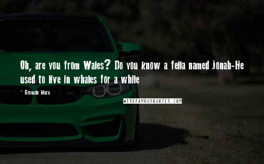 Groucho Marx Quotes: Oh, are you from Wales? Do you know a fella named Jonah-He used to live in whales for a while