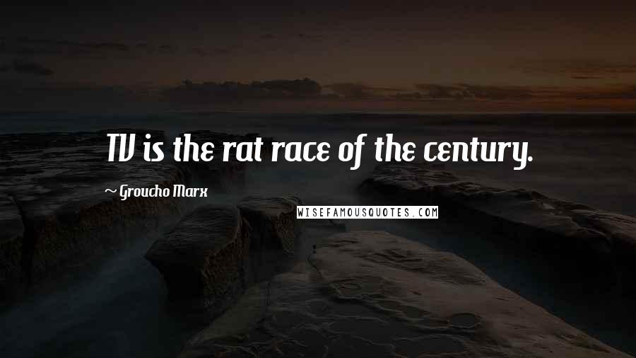 Groucho Marx Quotes: TV is the rat race of the century.