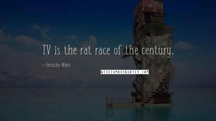 Groucho Marx Quotes: TV is the rat race of the century.